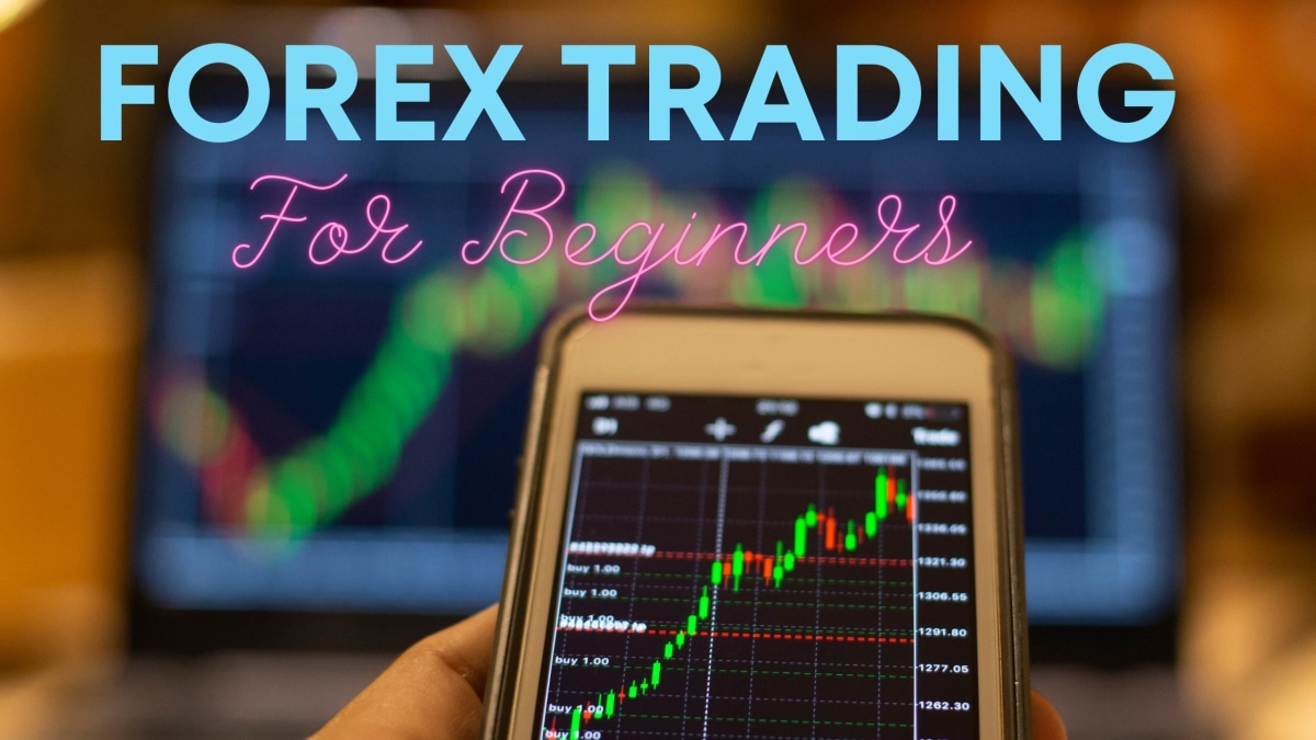 Regulated Forex Trading Platforms For Beginners In Poland: Essential Guide